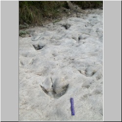 100_0453 (2009-26-07)m.JPG